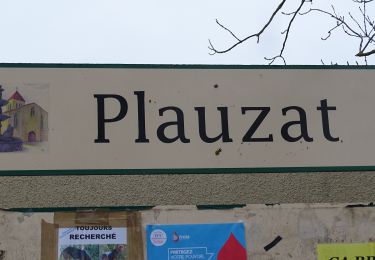 Percorso Marcia Plauzat - Plauzat - Photo