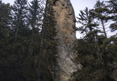Tocht Sneeuwschoenen Aussois - AUSSOIS monolithe de Sommières :aller - Photo