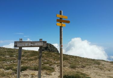 Trail Walking Ghisoni - Punta della Cappella - Photo