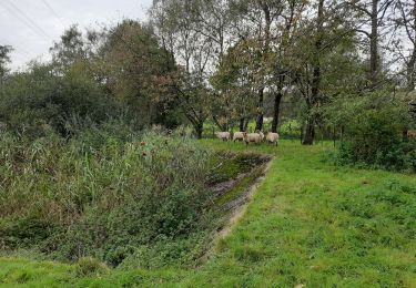 Tocht Stappen Hoei - tihange - Photo