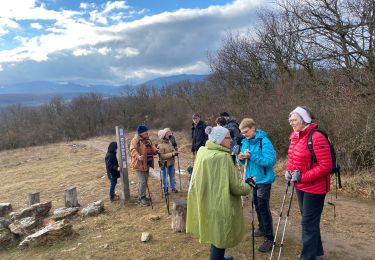 Trail Walking Westhalten - 22 02 15 - Photo