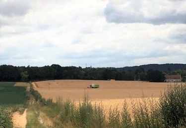 Percorso Marcia Bierbeek - #190708 - Les Dieux se sont installés au Mollendaalbos***** - Photo