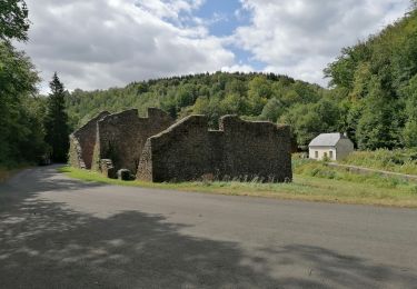 Tour Wandern Étalle - Montauban  - Photo