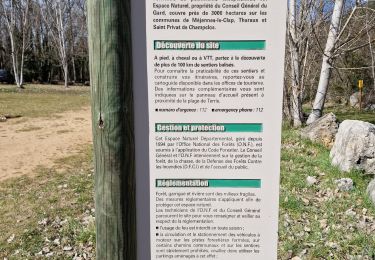 Tour Wandern Montclus - 2023-03-12 Rando Caf - Photo