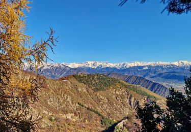 Trail Walking Digne-les-Bains - Sommet-de-la-bigue-en-boucle - Photo