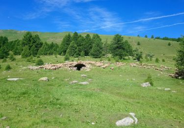 Tocht Stappen Val-d'Oronaye - Le lac de derrière la croix - Photo