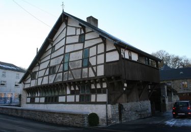 Tour Zu Fuß Tellin - TL04 Variante de la promenade du Bois de Machi - Photo