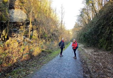 Trail Walking Anhée - 2020-01-16 Maredsous 21 km - Photo