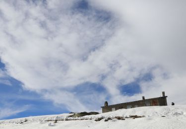 Tocht Sneeuwschoenen Albiès - Plateau de Beille - Photo