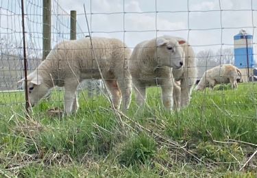 Randonnée Marche Gerpinnes - Sans nom - Photo