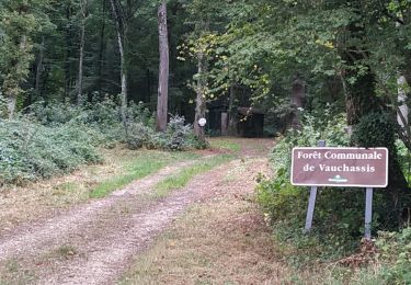 Trail Walking Vauchassis - Bois des Ferrières - Photo