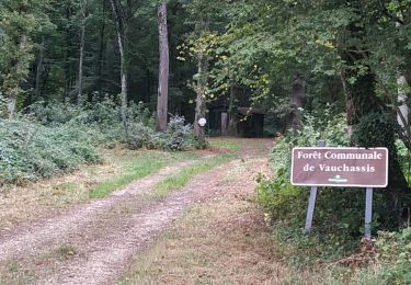 Percorso Marcia Vauchassis - Bois des Ferrières - Photo