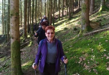 Tocht Stappen Kruth - Randonnée CVG lac de Wikdenstein - Photo