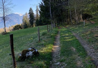 Trail Walking Miribel-les-Échelles - Circuit panoramique au départ de Miribelle - Photo