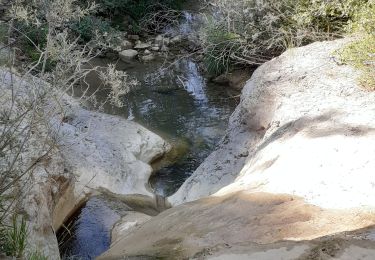 Tour Wandern La Roche-des-Arnauds - Circuit de la Gerle - Photo