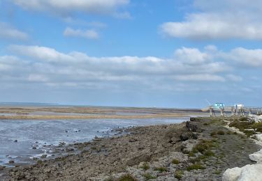 Tour Wandern Port-des-Barques - Île Madame - Photo