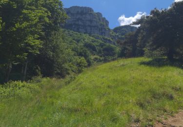 Trail Walking Beauregard-Baret - Pas de la pierre - Photo
