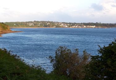 Trail Walking Crozon - Le Fret - Photo