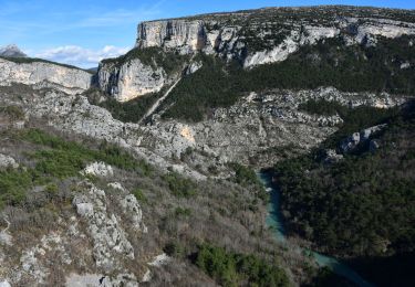 Trail Walking La Palud-sur-Verdon - Chalet de la Maline - Point Sublime - Photo