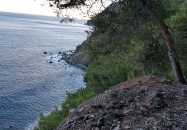Randonnée Trail La Seyne-sur-Mer - fabregas, sémaphore du cap Sicié. sentier du littoral  - Photo