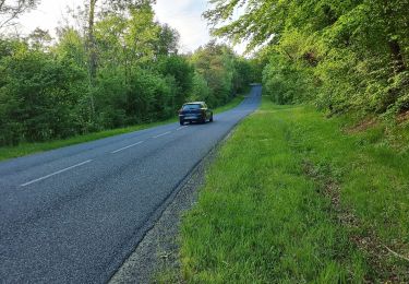 Randonnée V.T.T. Vouthon-Haut - reco partielle chemins d'Isabelle  - Photo