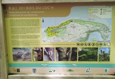 Excursión Senderismo Landévennec - Le loch-Sillon des anglais avec Ripley 08-07-2023 - Photo