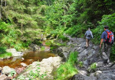 Trail On foot Malmedy - Chôdes : Boussire - Photo