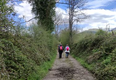 Trail Walking Bilhères - BILHERES en OSSAU Autour du turon de Tecouere G4 