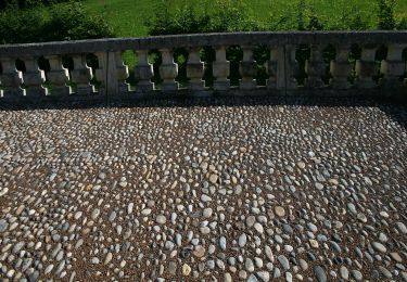 Randonnée A pied Ehrenhausen an der Weinstraße - Ehrenhausen 4 - Photo