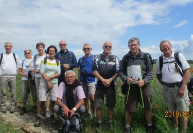 Tour Wandern Roncherolles-sur-le-Vivier - 20190611 Roncherolles Preaux - Photo