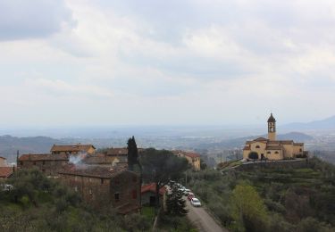 Trail On foot Capannori - Sentiero n.6 