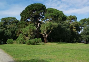 Percorso Marcia Saint-Brevin-les-Pins - St Brevin les pins - Photo