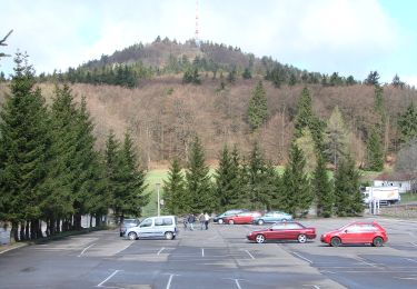 Tour Zu Fuß Bad Tabarz - Tabarz - Felsental - Großer Inselberg (Gelbes Quadrat) - Photo