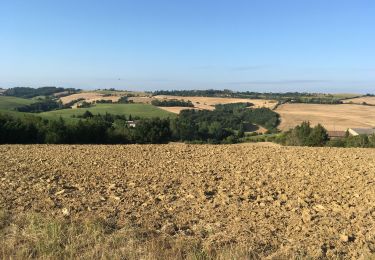 Randonnée Marche La Louvière-Lauragais - La Louvière Lauragais: 2819 - Photo