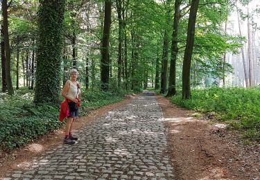 Tour Wandern Ottignies-Louvain-la-Neuve - 2020-05-21 IR226 Rofessart 20 Km de GR Rando - Photo