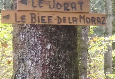 Randonnée Marche Haut Valromey - Le Jorat  - Brénod  - Photo