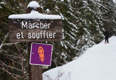 Tocht Sneeuwschoenen Uvernet-Fours - Pra Loup - Clos des Serres - Photo