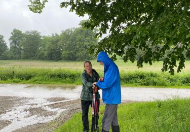 Trail Walking Clavier - Pailhe - Photo