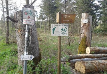 Tour Zu Fuß Aitrach - Aitracher Nestbaumweg - Photo