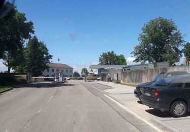 Tour Zu Fuß Bruchsal - BR - 3 Rundwanderweg Eichelberg - Photo