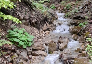 Tour Wandern Saint-Julien-en-Beauchêne - Les 4 cols en boucle depuis Chabotte - Photo