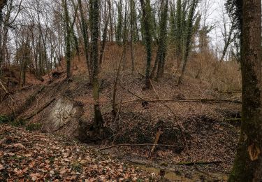 Tocht Te voet Markdorf - Wanderwege Markdorf: Vogelweg - Photo