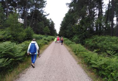 Trail Walking Canéjan - lestonnat - Photo