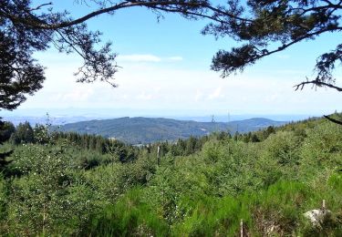 Randonnée Marche Le Brugeron - Brugeron_Puy_Gros - Photo