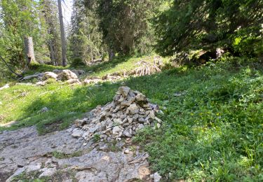 Trail Walking Saint-Pierre-de-Chartreuse - Col Charmette Grand Sur sommet 10,7 km - Photo