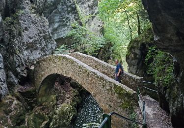 Trail Walking Boudry - 29-07-24 gorges de l'Areuse - Photo