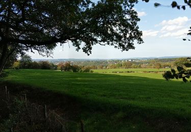 Trail On foot Eupen - Clouse - 4 Km gelb - Photo