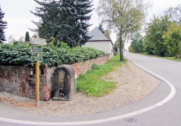Randonnée A pied Wechselburg - Wechselburg – Winkeln - Photo