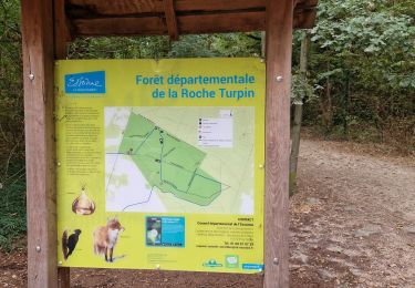 Trail Walking Fontenay-lès-Briis - Essonne_Fontenay-Les-Briis=>Roche-Turpin=>Soucy(bis) - Photo