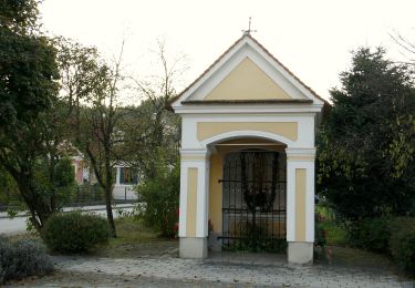 Tour Zu Fuß Bad Blumau - Nat(o)ur Wanderung - Photo